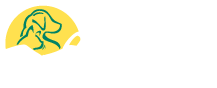 emergency vet greensboro